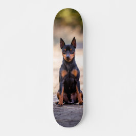 Patineta Perro Pinscher Miniatura Sentado スケートボード