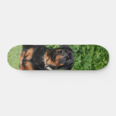 Patineta Perro Rottweiler Vigilando En El Jardín スケートボード (横)