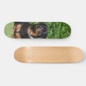 Patineta Perro Rottweiler Vigilando En El Jardín スケートボード (横)