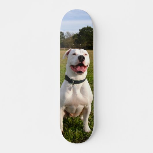 Patineta Pitbull Blanco Sentado En El Campo スケートボード (正面)