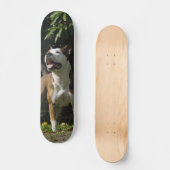 Patineta Pitbull Marrón Y Blanco Observando スケートボード (正面)
