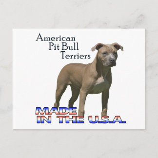 Patriot American Pit Bull Terrier(APBT)ポストカード ポストカード