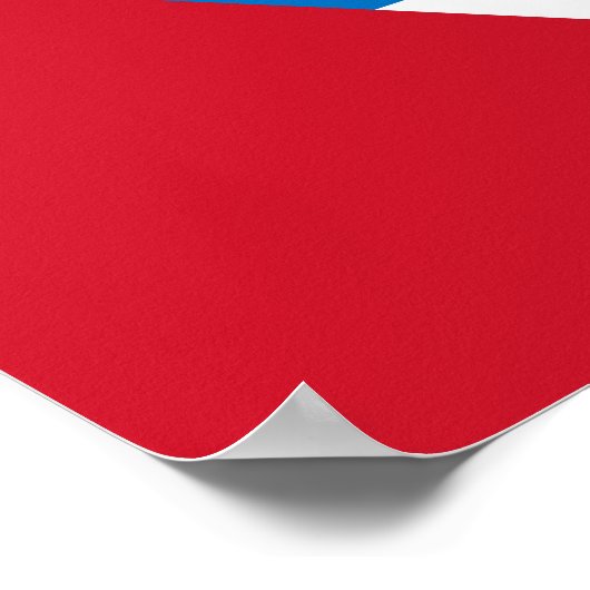 Patriotic Antigua and Barbuda Flag ポスター (角)