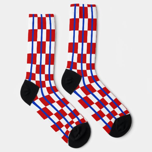 Patriotic Checker Stripe Crew Socks ソックス (右)