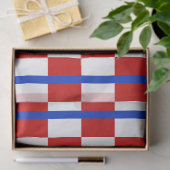 Patriotic Checker Stripe Tissue Paper 薄葉紙 (ギフト)