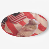 Patriotic Murray ペーパープレート (アングル)