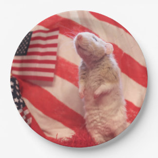 Patriotic Murray ペーパープレート