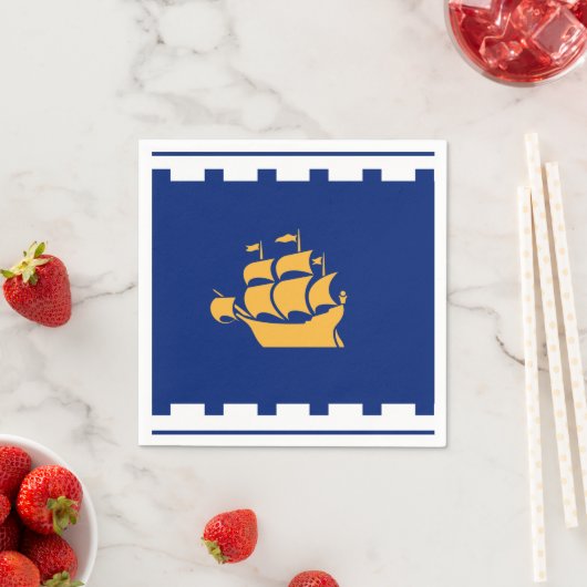 Patriotic paper napkins with flag of Quebec City スタンダードカクテルナプキン (インサイチュ)