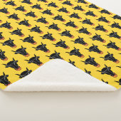 Patriotic Sherpa Blanket with flag of Uri, Swiss シェルパブランケット (3/4)