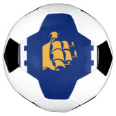 Patriotic Soccer Ball with Flag of Quebec City サッカーボール (回転)