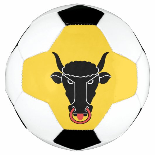 Patriotic Soccer Ball with Flag of Uri サッカーボール (正面)