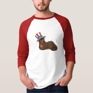 Patriotterのワイシャツ Tシャツ