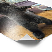 Patsy the Baby Bear (but older) フォトプリント (角)