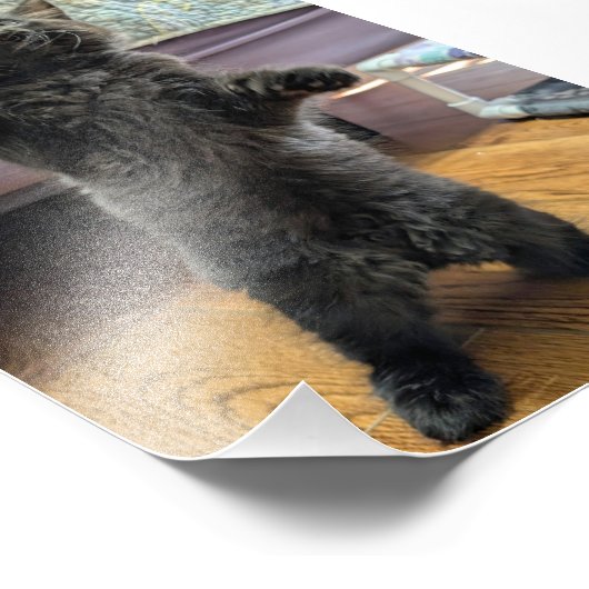 Patsy the Baby Bear (but older) フォトプリント (角)