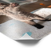 Patsy the bear フォトプリント            (角)