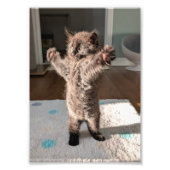 Patsy the bear フォトプリント            (正面)