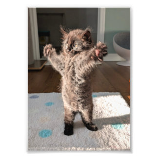 Patsy the bear フォトプリント           