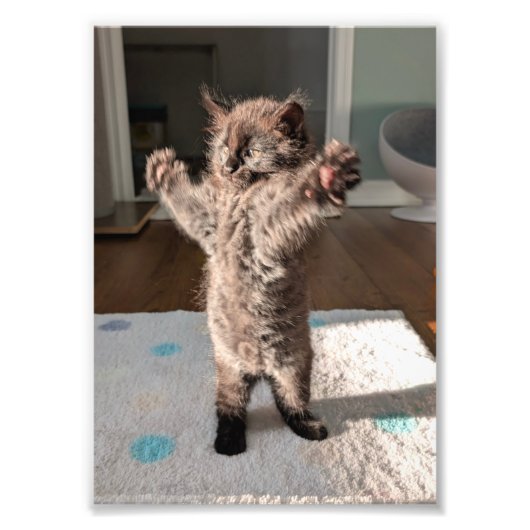 Patsy the bear フォトプリント            (正面)