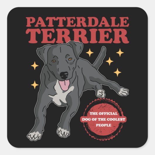 Patterdale Terrier Dog Of The Coolest Patterdales スクエアシール (正面)
