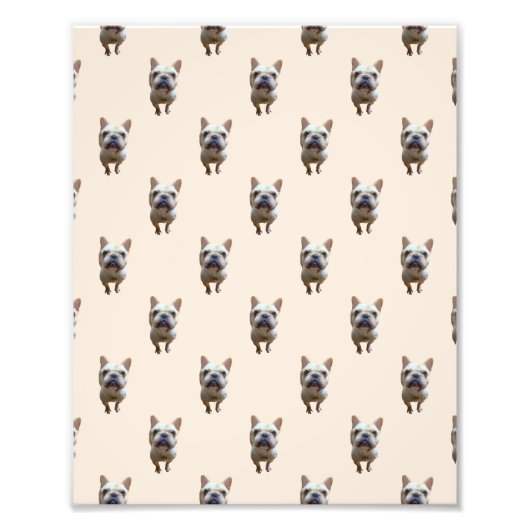 pattern_1_フランスのbulldog_1 フォトプリント            (正面)