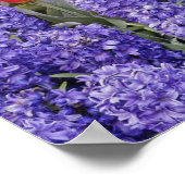 Pattern of hyacinth, tulips, and daffodils, ポスター (角)
