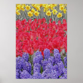 Pattern of hyacinth, tulips, and daffodils, ポスター (正面)