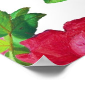 Pattern with Red, White and Pink Roses, ポスター (角)