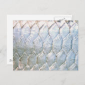 PatternWearによるタルポン© ポストカード (正面/裏面)