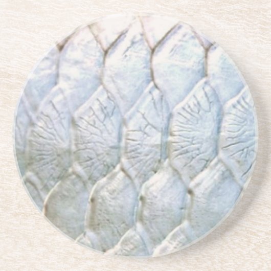 PatternWear©著ターポン コースター (正面)