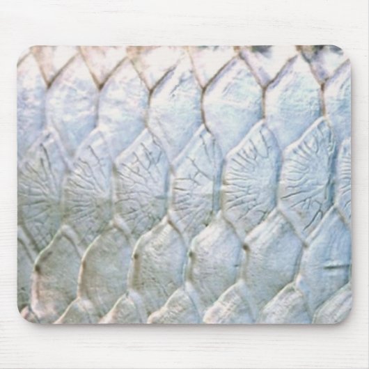 PatternWear©著ターポン マウスパッド (正面)