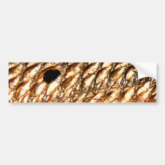 PatternWear©著"Redfish"の-赤いドラム バンパーステッカー