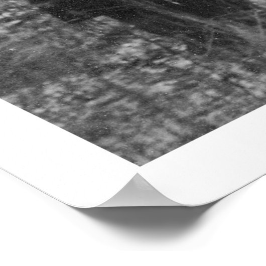 Patting a Moose写真1921 ポスター (角)