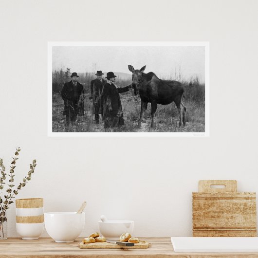 Patting a Moose写真1921 ポスター (キッチン)