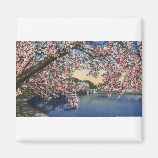 PAU43干潟.tif マグネット (正面)