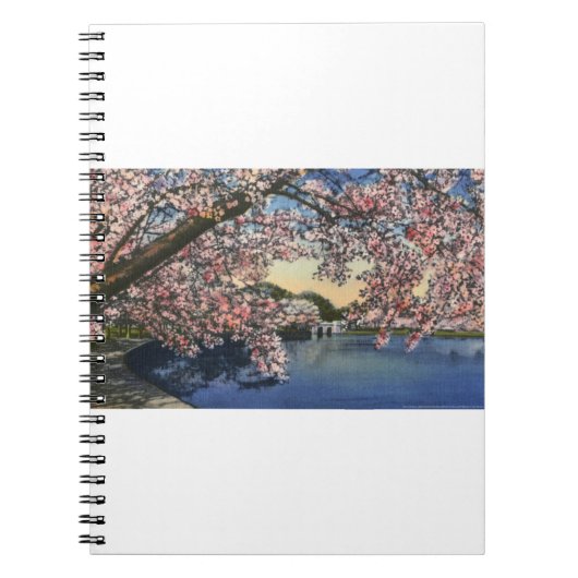 PAU43潮Basin.tif ノートブック (正面)