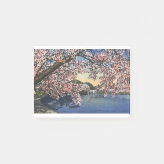 PAU43潮Basin.tif ポストイット (正面)