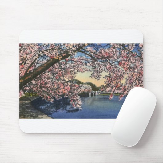 PAU43潮Basin.tif マウスパッド (マウス)