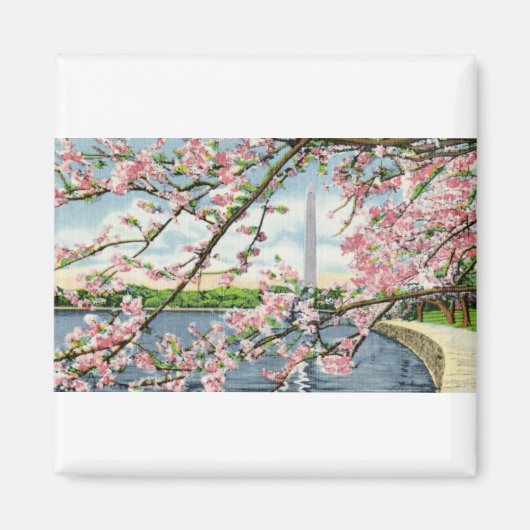 PAU45ワシントンモニュメント2.tif マグネット (正面)