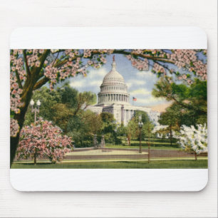 PAU46米国Capitol.tif マウスパッド