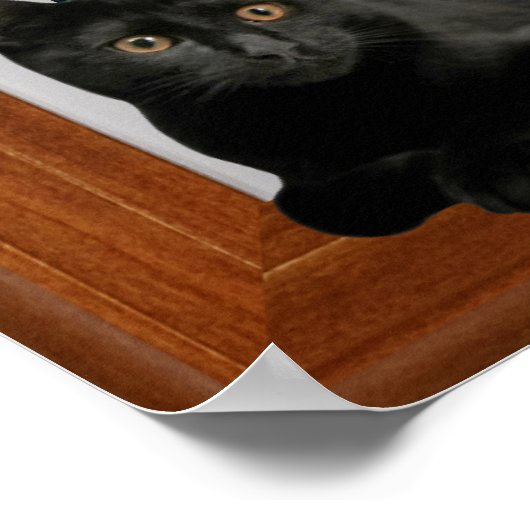 Paul Cezanne - Pines And Aqueduct 3D Window Frame ポスター (角)