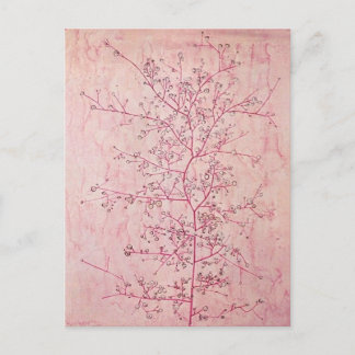 Paul Klee – ピンク春イン深い冬はがき ポストカード