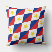 Paul McGehee「サバ旗」枕 クッション (裏面)