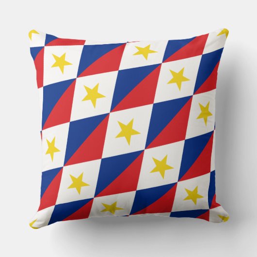 Paul McGehee「サバ旗」枕 クッション (裏面)