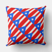 Paul McGehee「プエルトリカ国旗」枕 クッション (裏面)