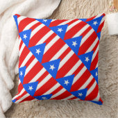 Paul McGehee「プエルトリカ国旗」枕 クッション (ブランケット)