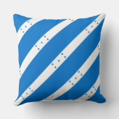 Paul McGehee "ホンジュラス国旗"枕 クッション (裏面)