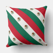 Paul McGehee "メキシコ国旗"枕 クッション (裏面)