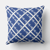 Paul McGehee "Martinique Flag"枕 クッション (裏面)