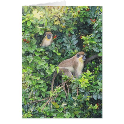 Paul McGehee「Monkeying」のまわりにカード (正面)