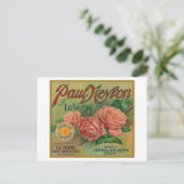 Paul Neyron of La Verne Orange Label ポストカード (スタンド正面)